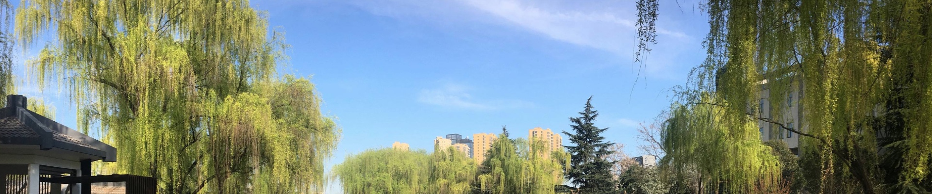 乐鱼在线-乐鱼在线（中国）